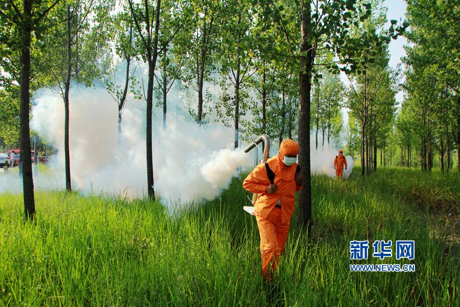 ���(sh��)����ġ���(zh��n)����