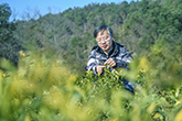 ʩ(qing)1.jpg