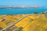 1（央廣網(wǎng)發(fā)鄧和平攝）.jpg