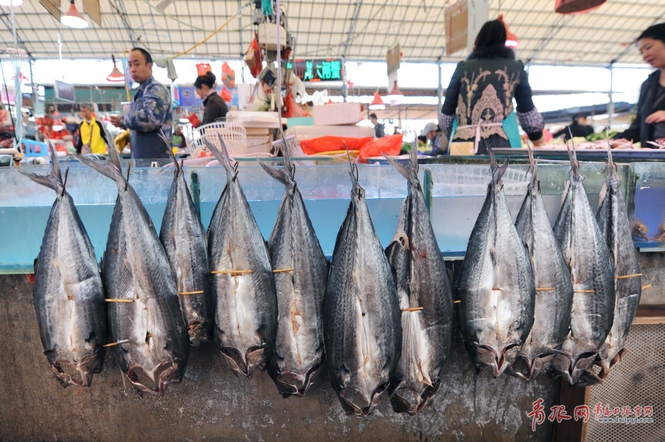 青島進(jìn)入秋鲅魚晾曬季 空中美味誘人味蕾(圖)