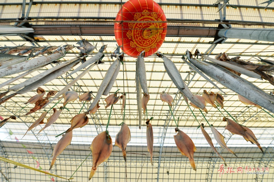 青島進(jìn)入秋鲅魚晾曬季 空中美味誘人味蕾(圖)